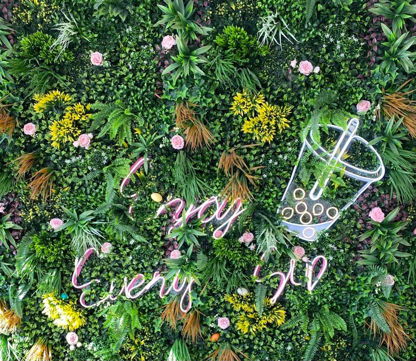 Multea Choice – Review